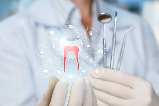 Best Dental X-Rays and Imaging  in Carbondale, IL